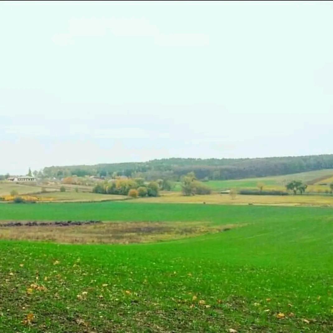Gospodarstwo Zaborski Sad Exteriör bild