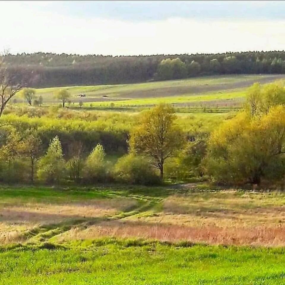 Gospodarstwo Zaborski Sad Exteriör bild